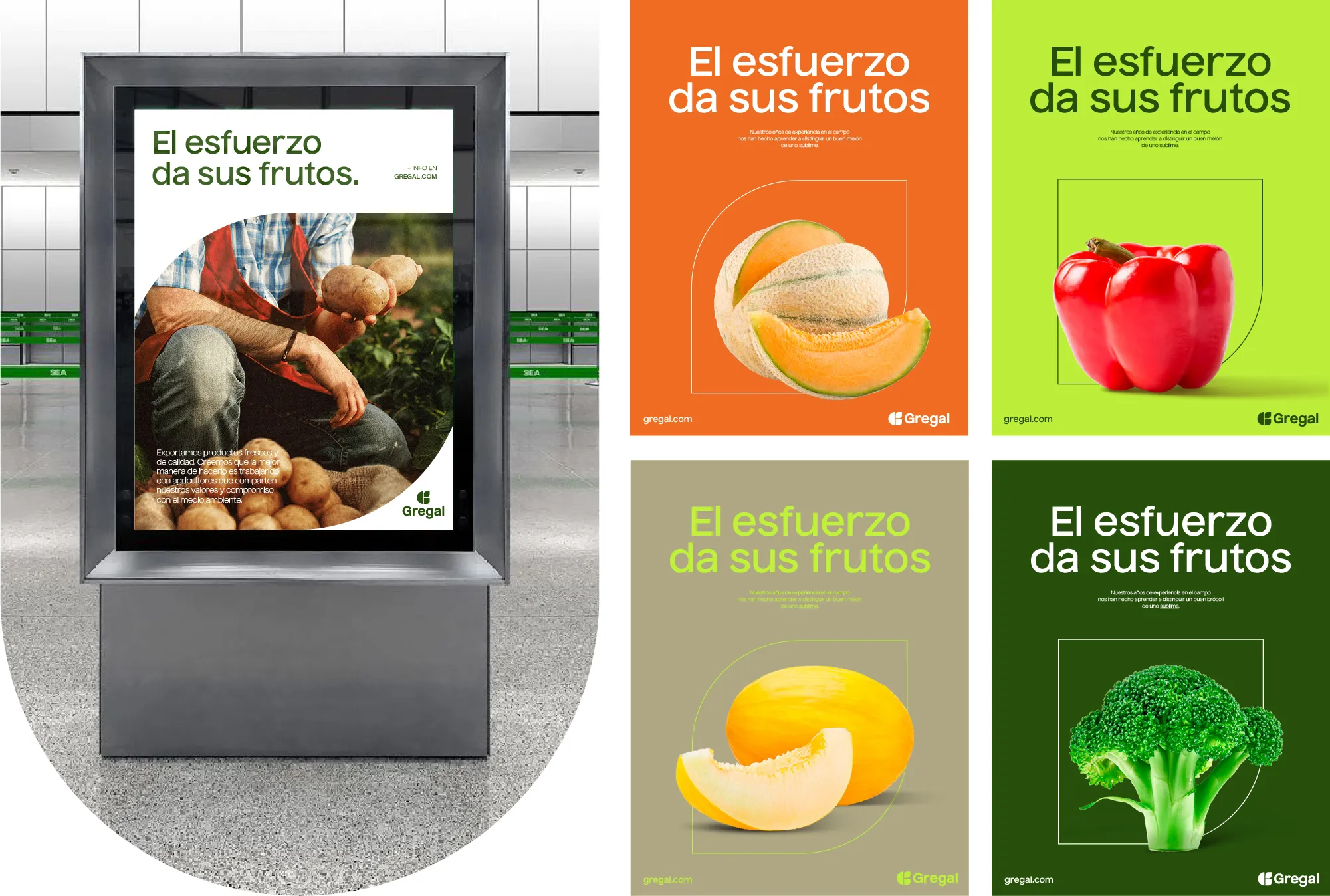 Gregal — aplicación de marca 3