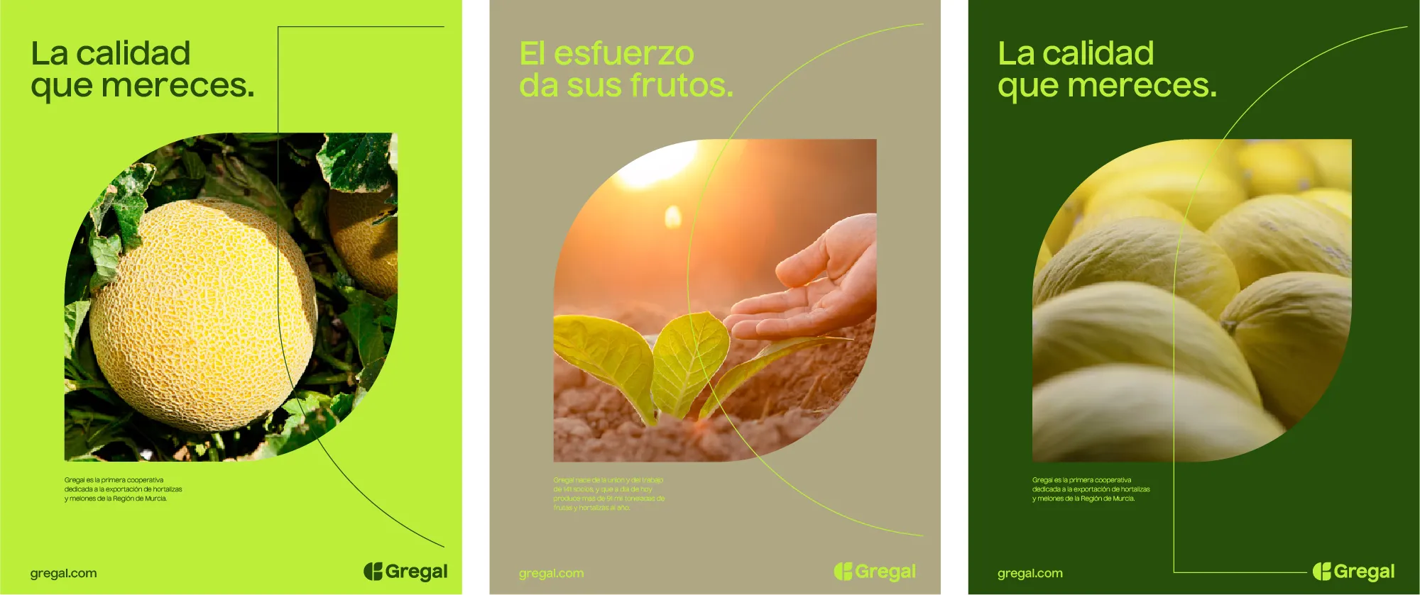 Gregal — aplicación de marca 2
