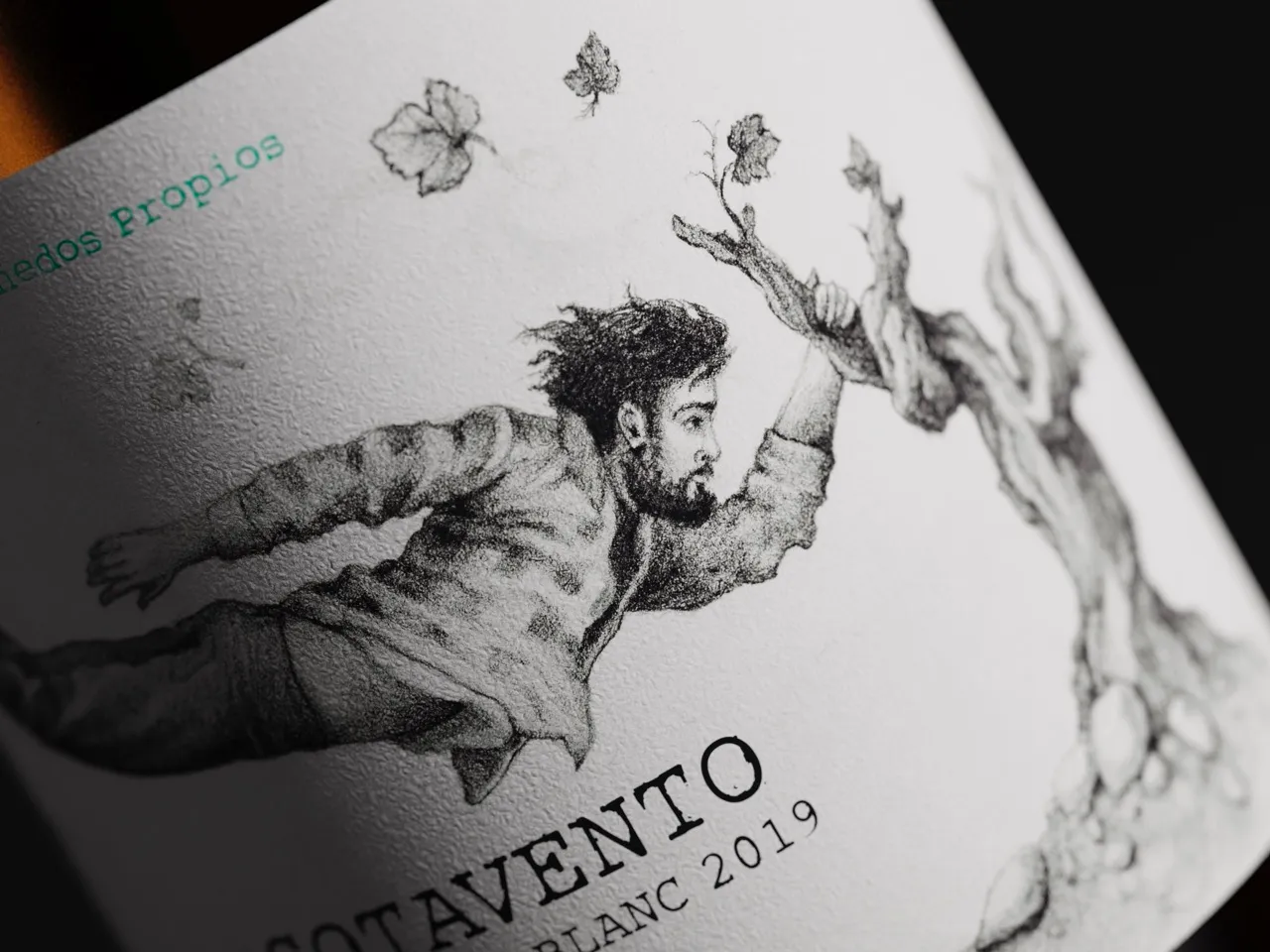 Sotavento — Un vino nacido del viento, de la lucha y el arraigo